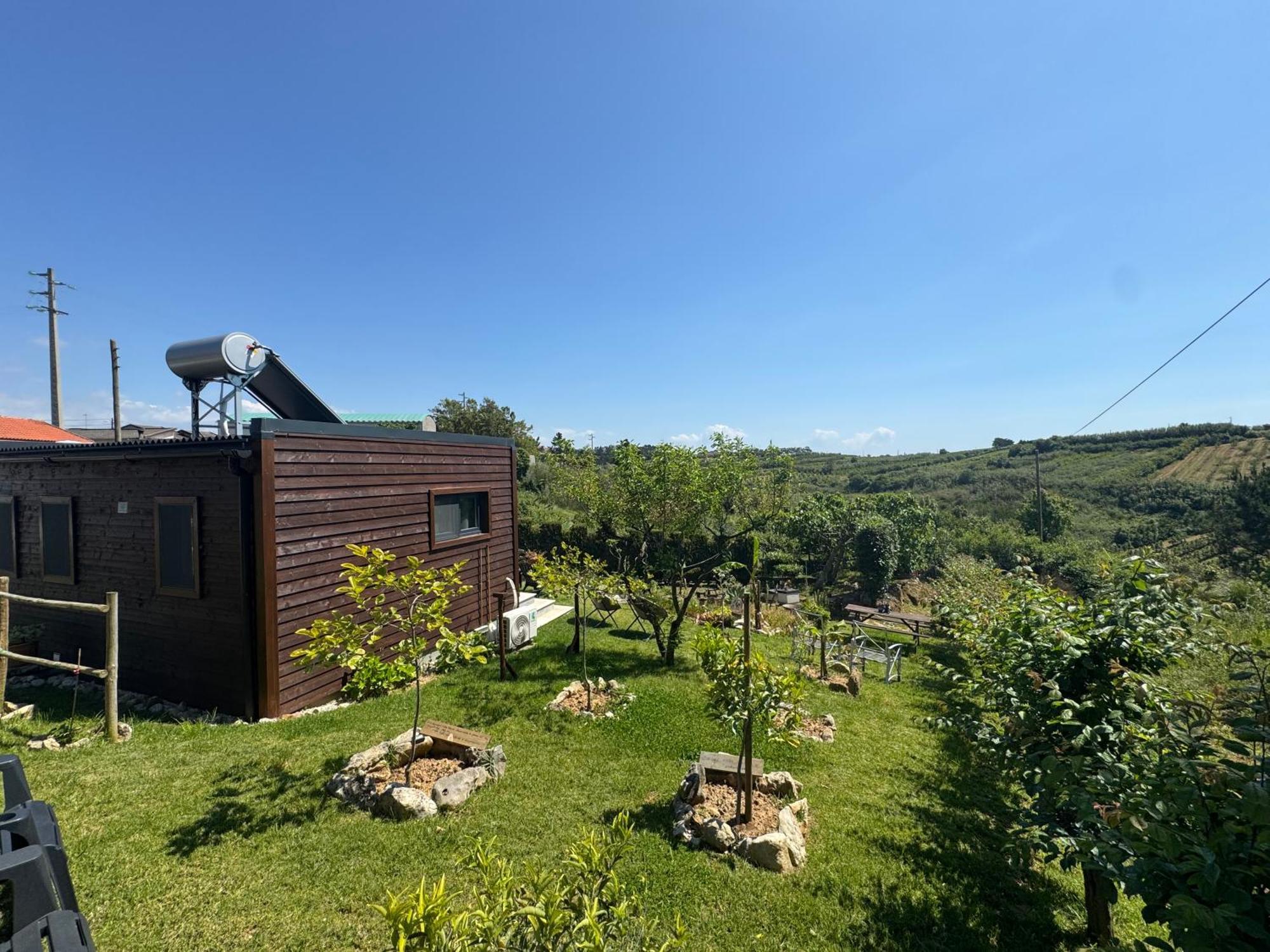 Villas Pomar Do Moinho Usseira Exterior photo